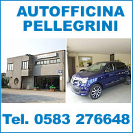 AUTOFFICINA PELLEGRINI