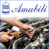 AUTOFFICINA AMABILI LUCA